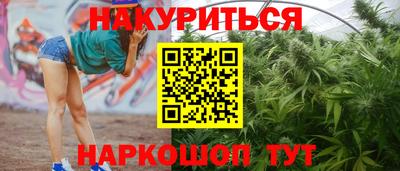 дмт Малгобек