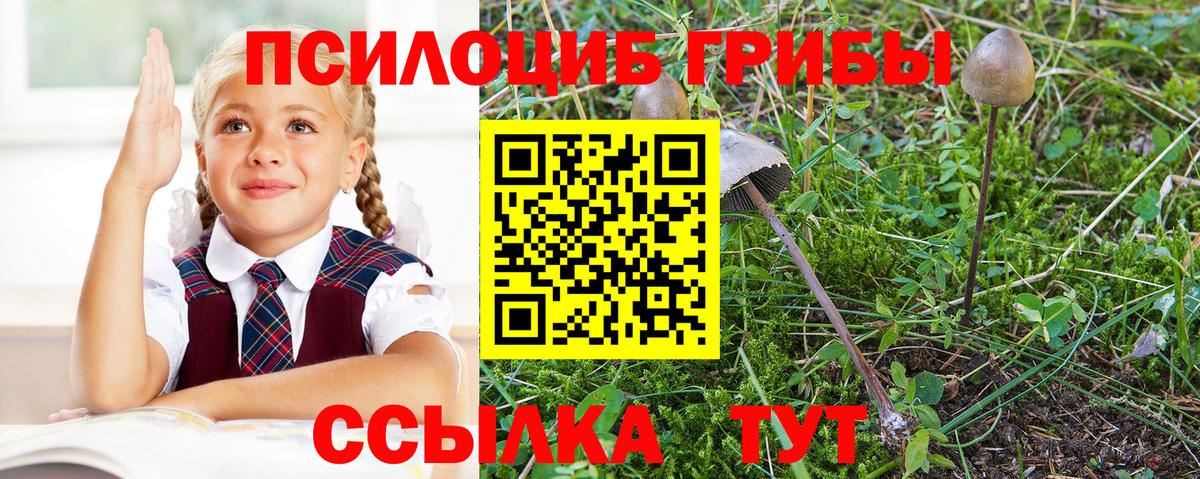 Галлюциногенные грибы мухоморы  Вход с VPN  Славянск-на-Кубани 