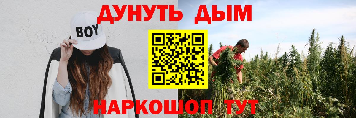Бошки Шишки ГИДРОПОН Славянск-на-Кубани